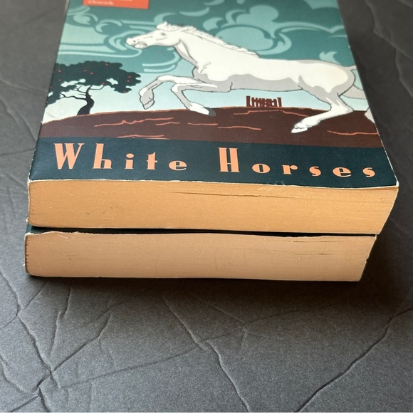 2 BOOK BUNDLE by Alice Hoffman | Fiction | Paperback Book (s) - Picture 9 of 9